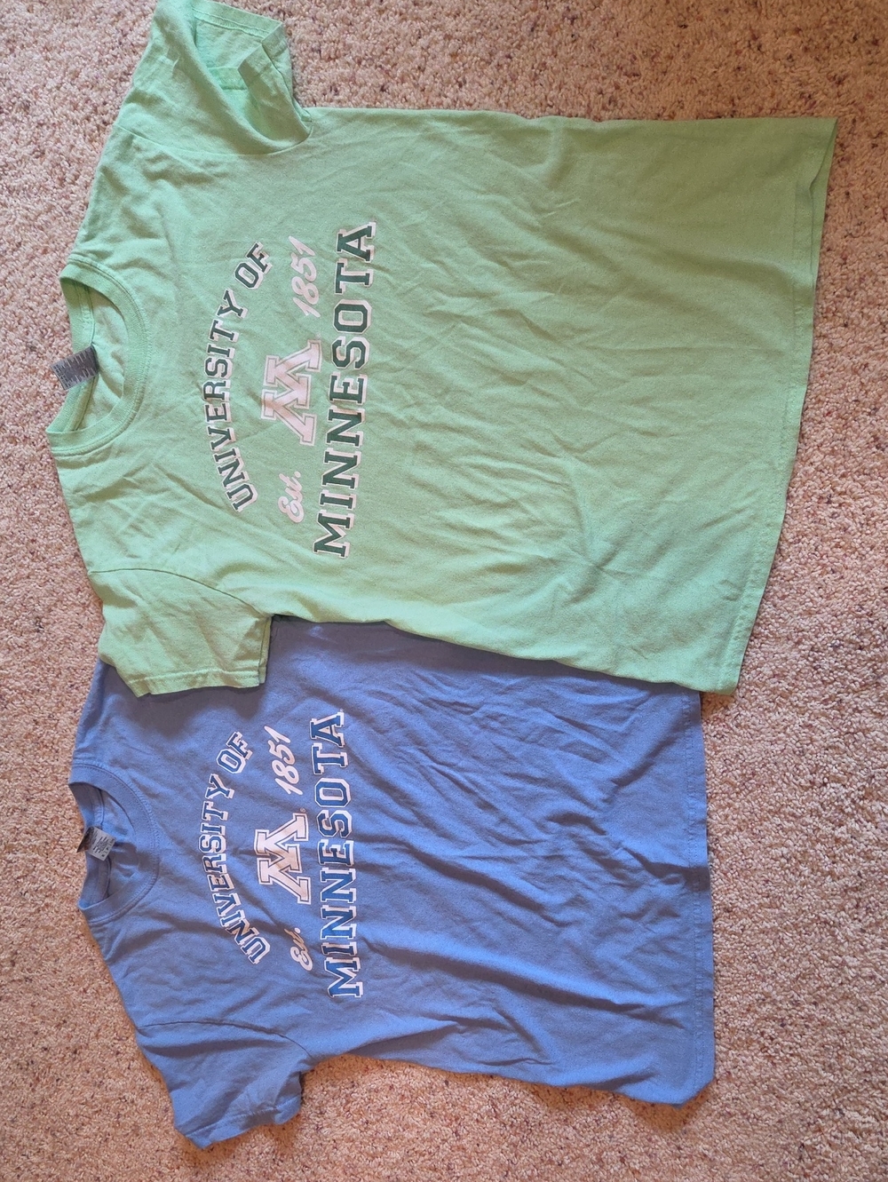Gildan University of Minnesota Graphic Tee - Light Green & Light Blue